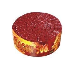 DRAGON 300