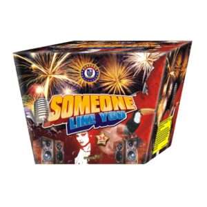 SOMEONE LIKE YOU
