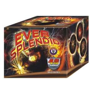 EVER SPLENDID