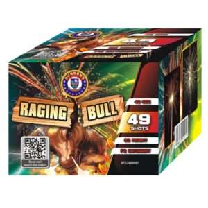 RAGING BULL