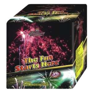 THE FUN STARTS HERE