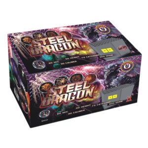 STEEL DRAGON